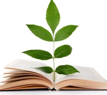 Environmental education arab 360x320